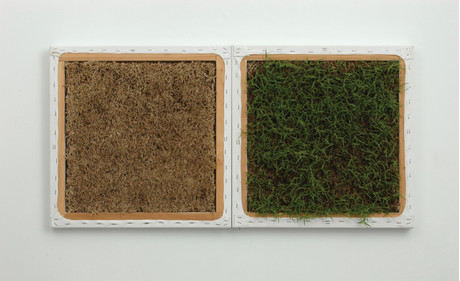 Lawn (Greener on the Other Side) II