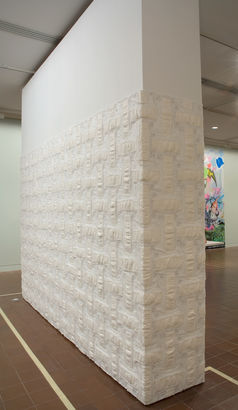 Canvas 2007