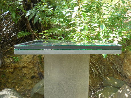 Profile view