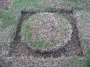 Grass Roots Sculpture