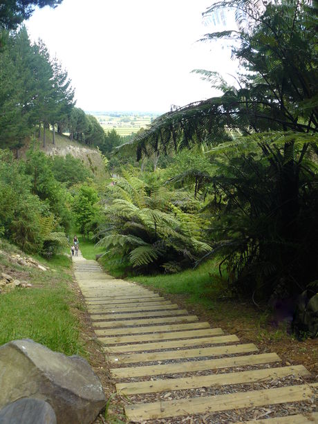 Descent
