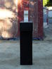 II profile view