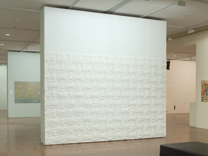 Canvas 2007 (Auckland Art Gallery) 