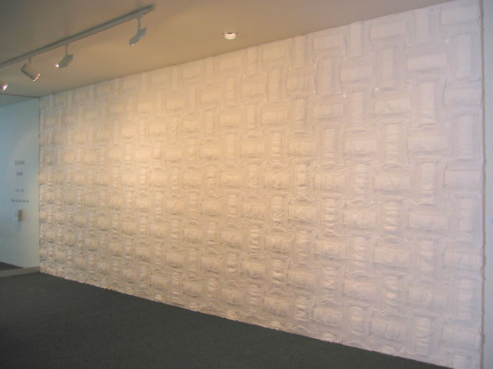 Kaitiaki 2004 (Te Tuhi Public Art Gallery) 
