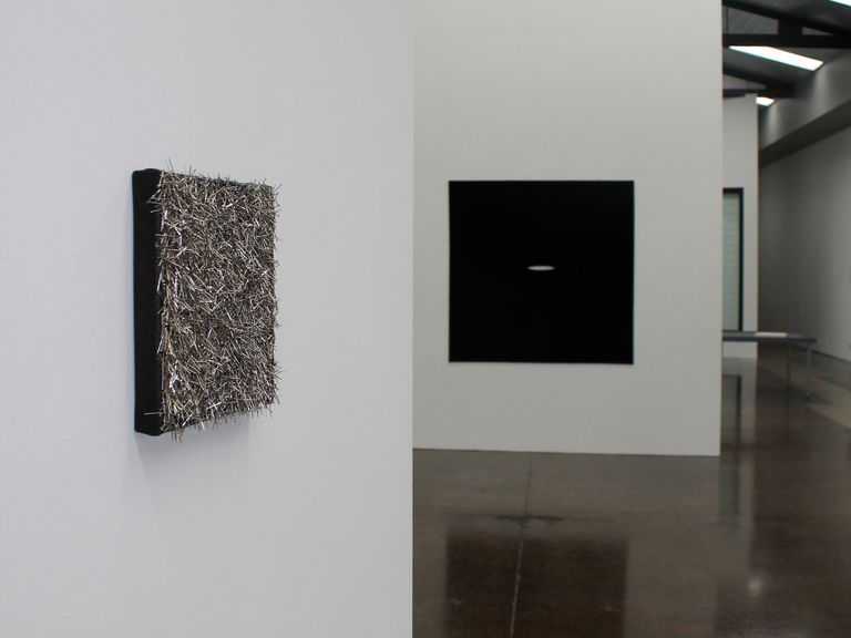 Square Root (Silver Fox)