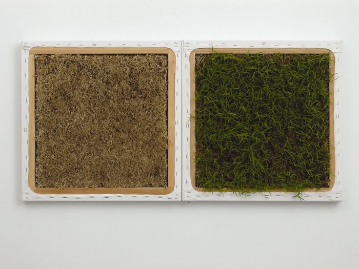Lawn II (Greener on the Other Side) 2007- 
