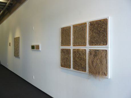 Installation view 5