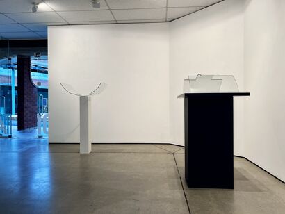 Narcissus & Echo 2024