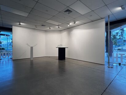 Narcissus & Echo 2024