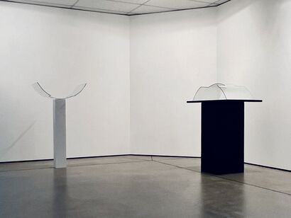 Narcissus & Echo 2024