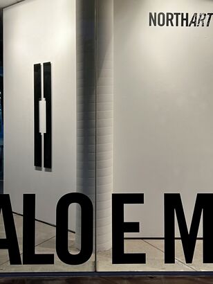 Narcissus & Echo 2024