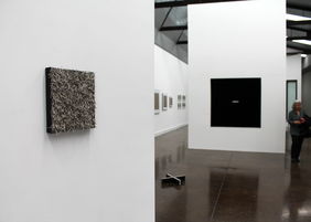 Silver Fox — Black Fringe