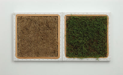 Lawn (Greener on the Other Side) II 2007