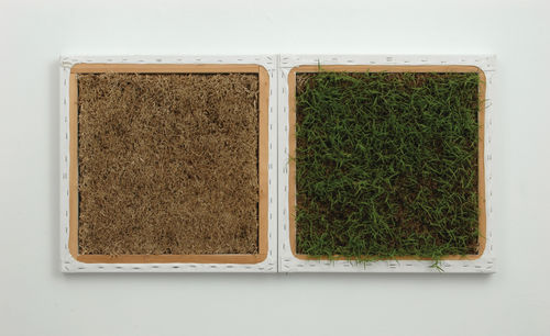 Lawn (Greener on the Other Side) II 2007