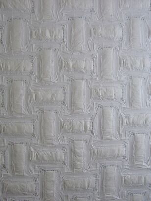 Kaitiaki (Te Tuhi) 2004