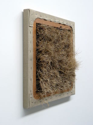 Natural Selection 2010