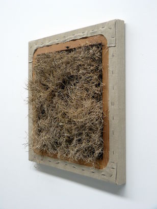 Natural Selection 2010