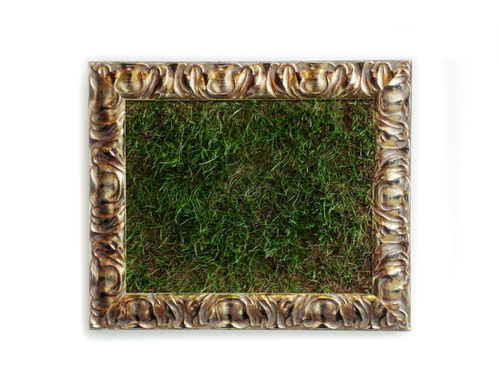 The Pleasure Garden 2009