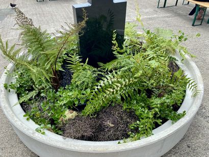 The Snake Charmer 2021