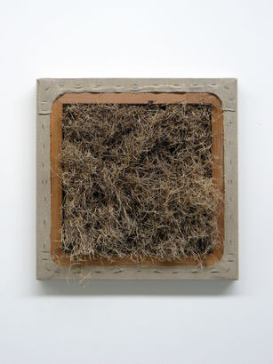 Natural Selection 2010