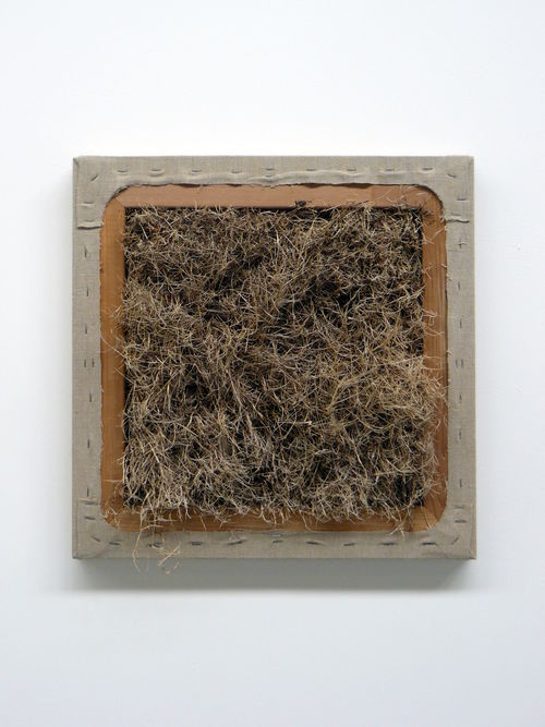 Natural Selection 2010