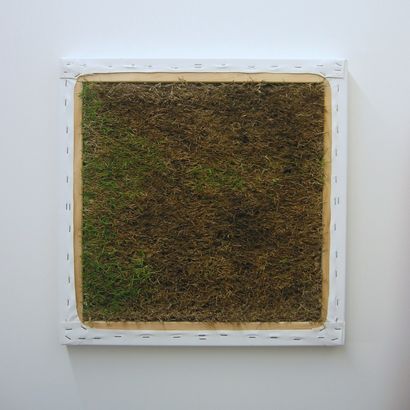 Lawn, National Contemporary Art Award 2006
