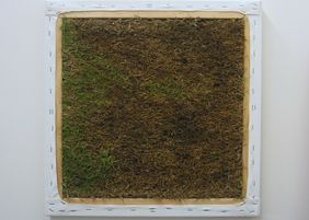 Lawn, National Contemporary Art Award