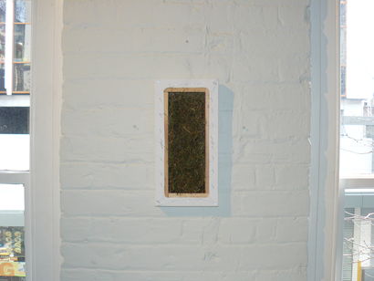 Freehold 2008