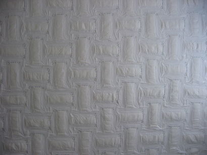 Kaitiaki (Te Tuhi) 2004