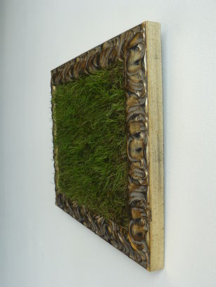 The Pleasure Garden 2009