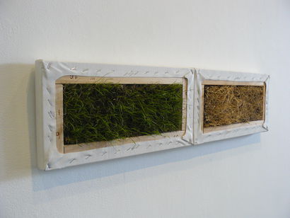 National Regionalism 2009