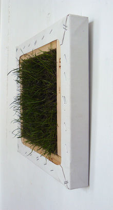 Organic Abstraction 2009