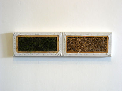 National Regionalism 2009