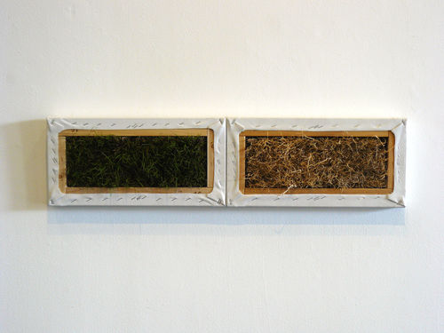 National Regionalism 2009