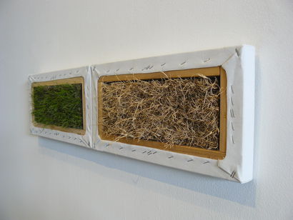 National Regionalism 2009