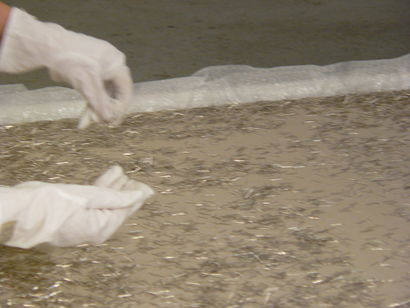 Performance Painting 2008