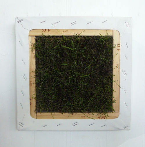 Organic Abstraction 2009